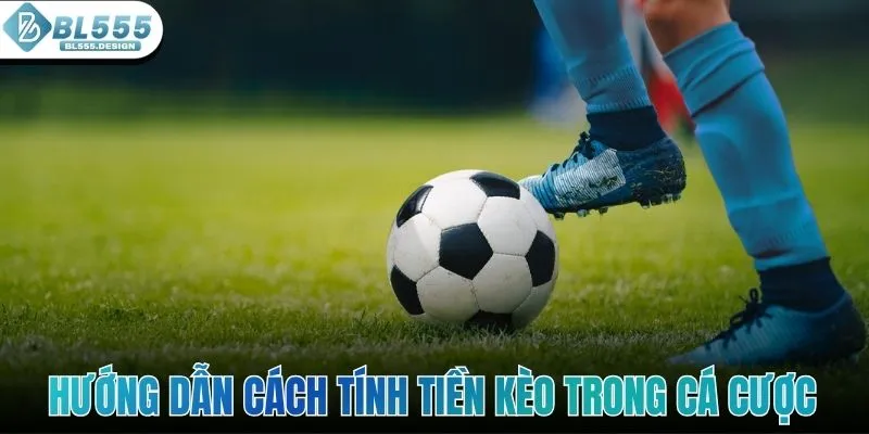 Hướng dẫn cách tính tiền kèo trong cá cược