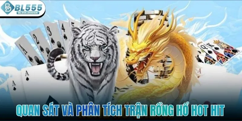 Quan sát và phân tích trận rồng hổ hot hit