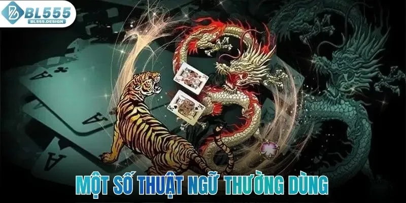 Một số thuật ngữ thường dùng