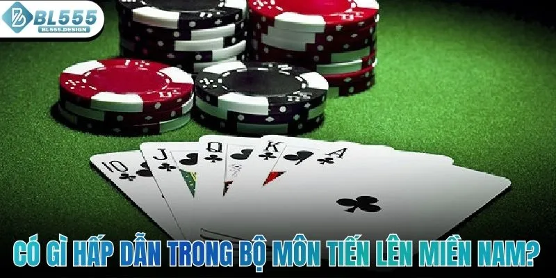 Khi tham gia tại BL555, người tham gia sẽ được trải nghiệm: