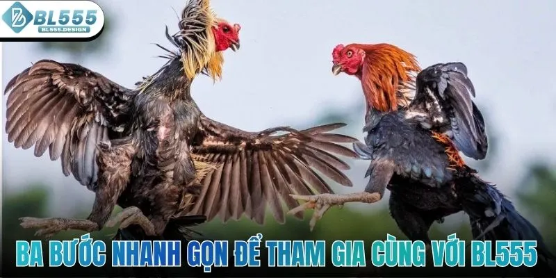 Ba bước nhanh gọn để tham gia cùng với BL555