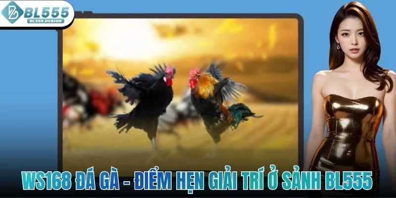 WS168 Đá Gà - Điểm Hẹn Giải Trí Siêu Thú Vị Ở Sảnh BL555